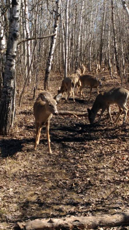 17916102_10158401766560304_1876855354_o