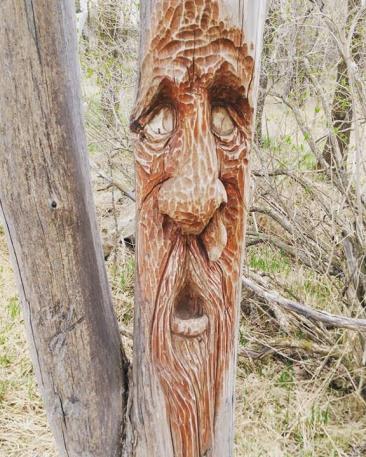 18302301_10158518515585304_1743667698_n